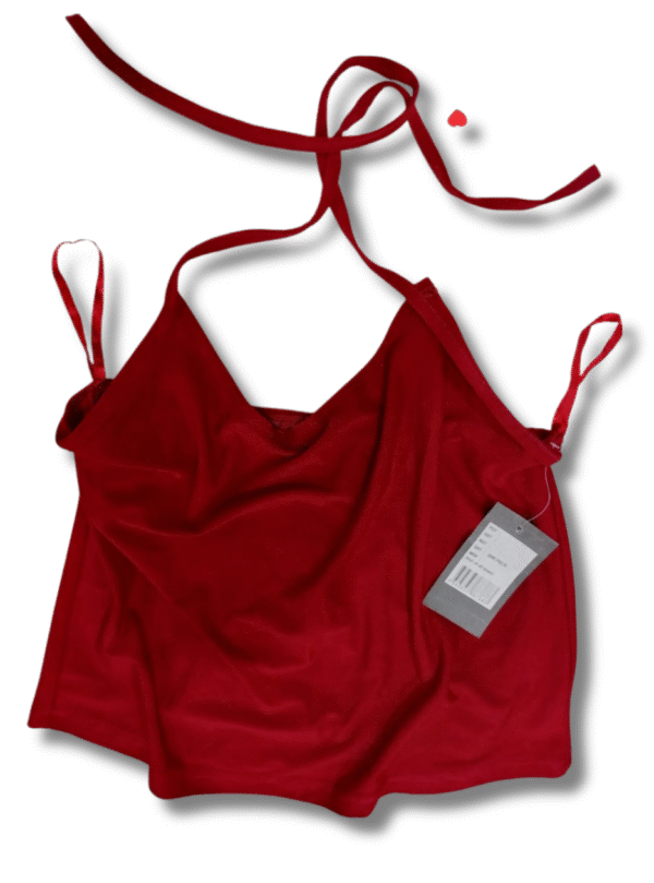 Scarlet Statement Tie Top